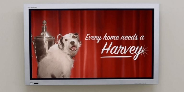 “Ogni casa ha bisogno di un Harvey”…