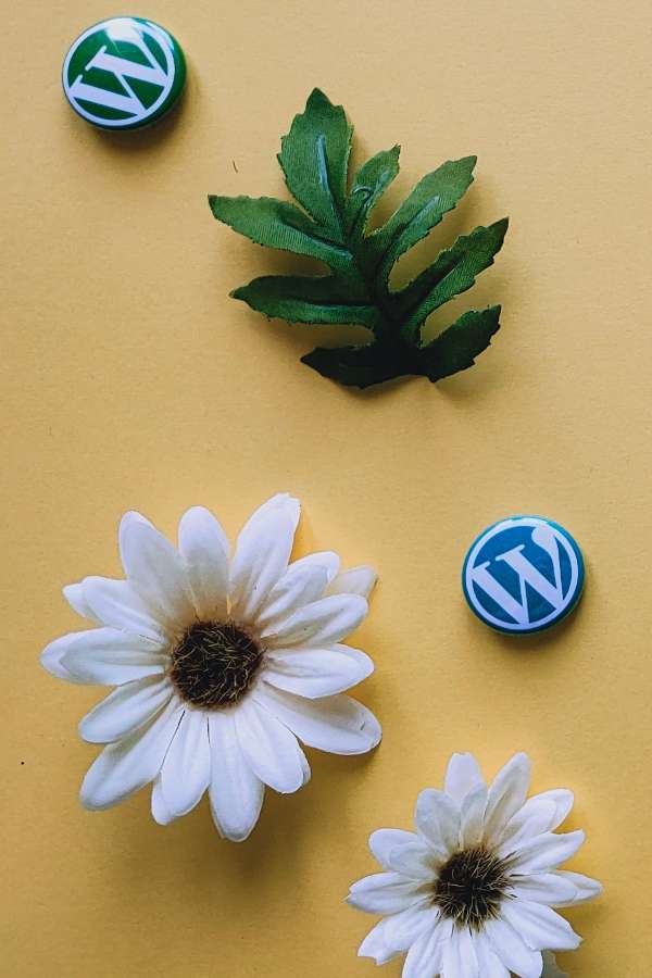 due fiori di margherita, una foglia e due spillette con logo WordPress